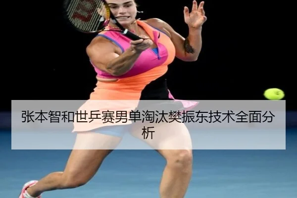 张本智和世乒赛男单淘汰樊振东技术全面分析